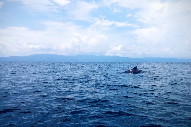 2015-04-19 01.38.27 1