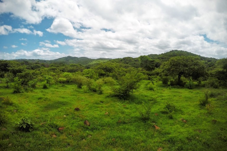 DCIM101GOPROGOPR2867.