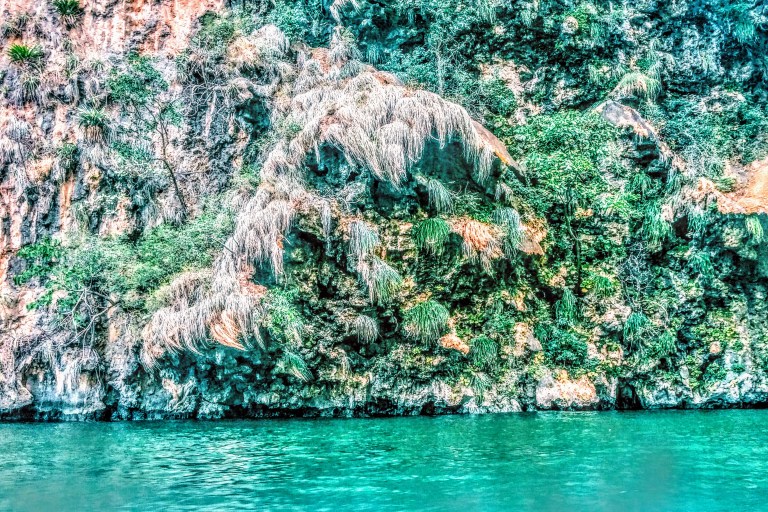 Processed with VSCO with c1 preset