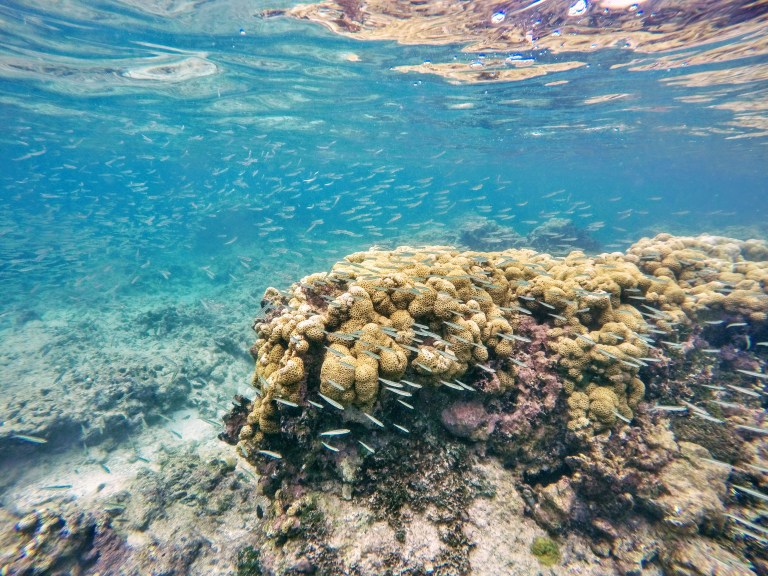 DCIM100GOPROGOPR3606.